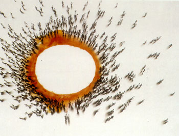 Obra de Juan Genov&eacute;s