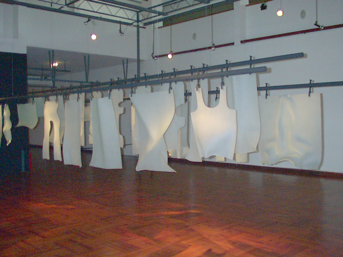 Instalación 2009 - "Inside-Installations" - Tendedero de Águeda Dicancro - Museo Nacional de Artes Visuales